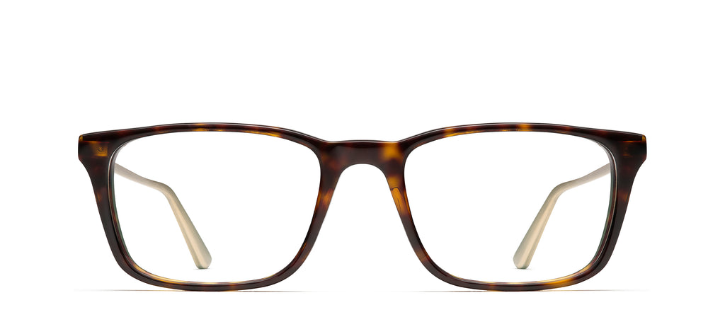 NYC Jazz - RMNYC 2006 in Tortoise 358 – ROBERT MARC